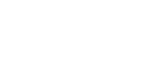 Service & Handel Wüst GmbH